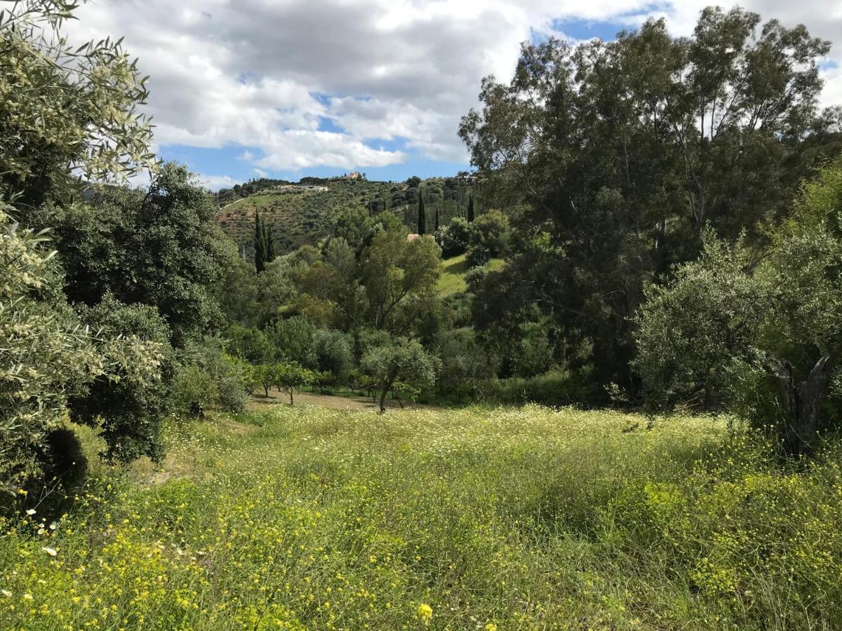 Studio Views Apartment, Cortijo Fruitful Hills Málaga Buitenkant foto