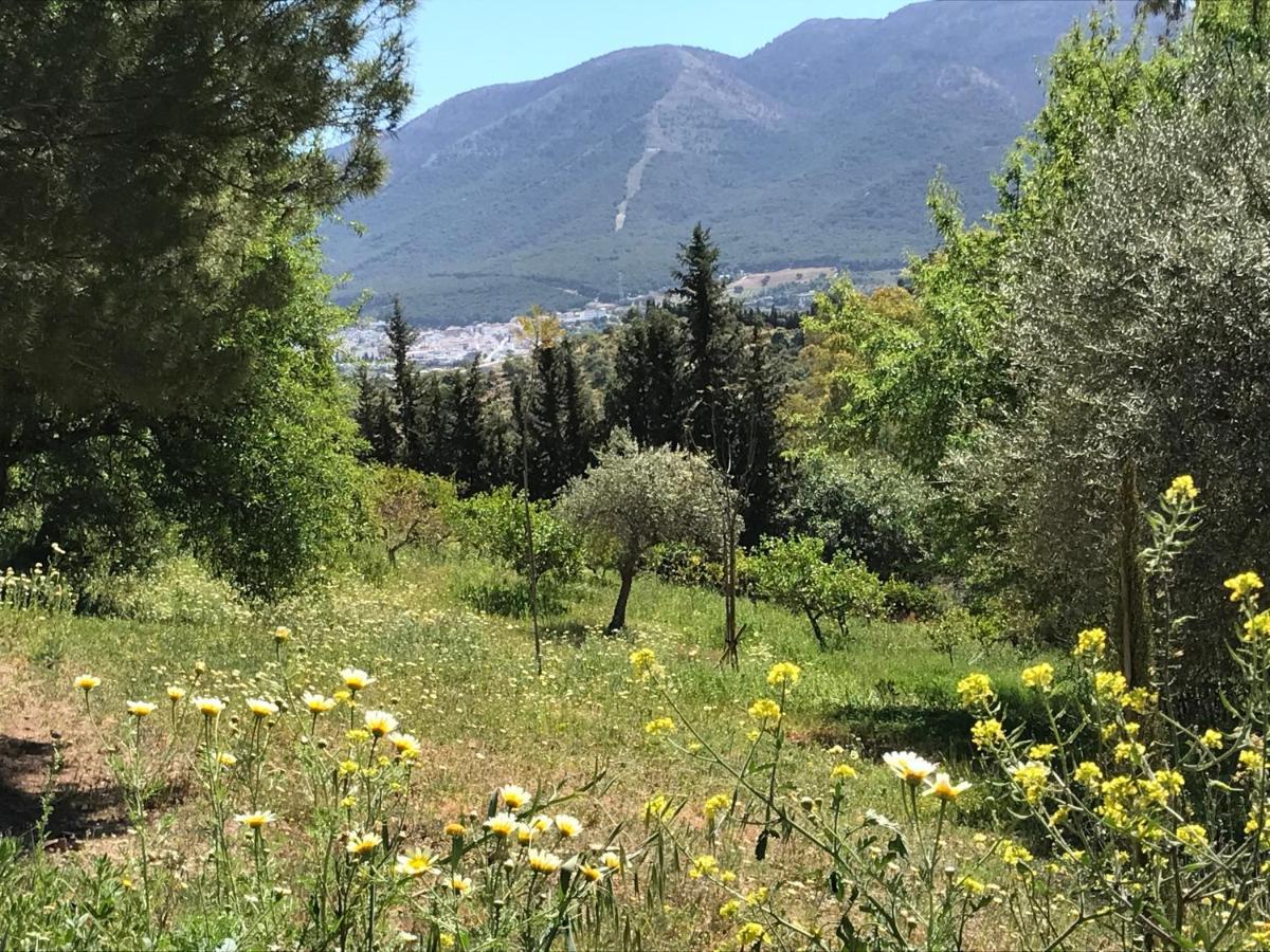 Studio Views Apartment, Cortijo Fruitful Hills Málaga Buitenkant foto