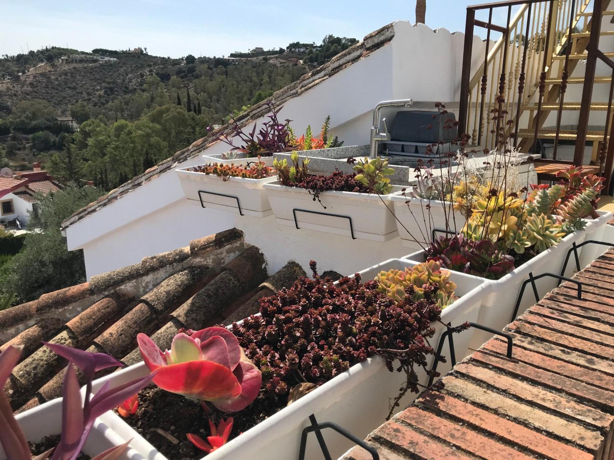 Studio Views Apartment, Cortijo Fruitful Hills Málaga Buitenkant foto